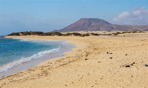 playas gay fuerteventura|Gay Scene